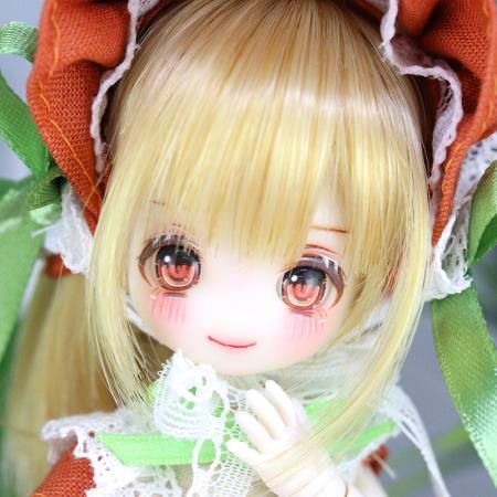DOLLCE
