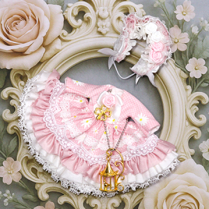 <img class='new_mark_img1' src='https://img.shop-pro.jp/img/new/icons14.gif' style='border:none;display:inline;margin:0px;padding:0px;width:auto;' />ñƲͤT35