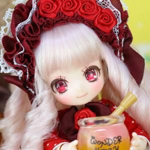 <img class='new_mark_img1' src='https://img.shop-pro.jp/img/new/icons14.gif' style='border:none;display:inline;margin:0px;padding:0px;width:auto;' />�ڸ���ۥ��ޥ���ʥ���������/Smile Nastutium