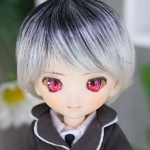 ڥե륻åȥǥۥ꡼/Leek