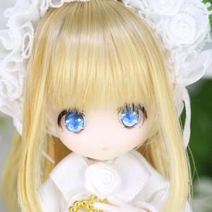 ڥե륻åȥǥۥΡե/Snow Cerfeuil