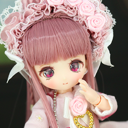 DOLLCE