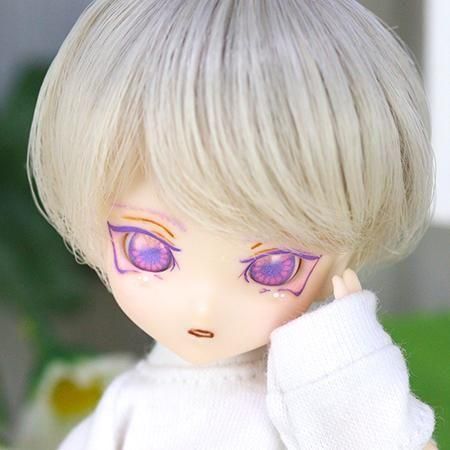 DOLLCE