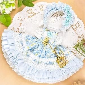 <img class='new_mark_img1' src='https://img.shop-pro.jp/img/new/icons14.gif' style='border:none;display:inline;margin:0px;padding:0px;width:auto;' />ڥ쥯ѡƲͤK6