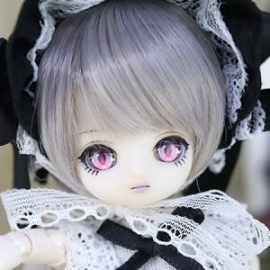 <img class='new_mark_img1' src='https://img.shop-pro.jp/img/new/icons14.gif' style='border:none;display:inline;margin:0px;padding:0px;width:auto;' />ڥե륻åȥǥۥ쥦/Coleus Purple