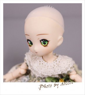 Mini Sweets Doll ノーメイクヘッド DC-03 - DOLLCE