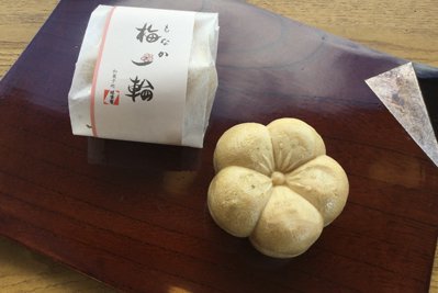 もなか梅一輪梅の花の形をしたもなか皮につぶし餡を入れました 和菓子処 味楽庵 手づくりのみかん最中 きびもち くりまんなどを販売するお店