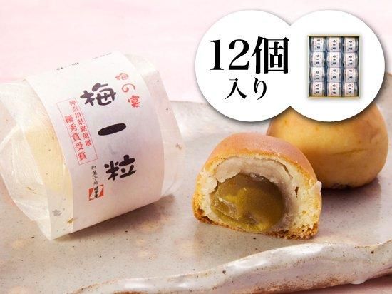 梅一粒(うめひとつぶ) --12個入--