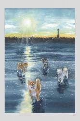 ¼ĲƲ¡Ωʥݥȥɡϸҳߤī