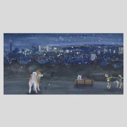 ¼ĲƲ¡ΩʥݥȥɡΩ