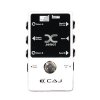 Custom Audio Japan(CAJ) X. select