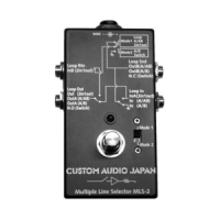 Custom Audio Japan (CAJ) MLS-2 / Multiple Line Selector