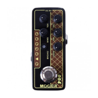 MOOER MICRO PREAMP 004 / Day Tripper