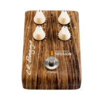 L.R.Baggs Align Series Session