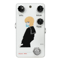 Animals Pedal Custom Illustrated 002 Surfing Bear Overdrive
