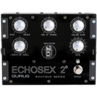 GURUS AMP Echosex 2