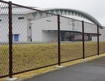 141184236.jpg?cmsp_timestamp=