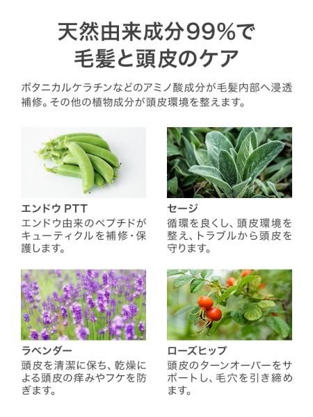 ココレドゥ KOKOLE2 シャンプー トリートメント セット ノンカチオン