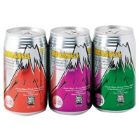 【常温発送】御殿場高原ビール3缶セット　N-1