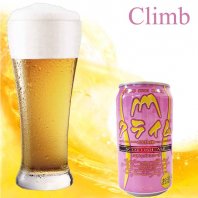 【常温発送】伊豆の国ビール350ml缶　クライム　3缶〜24缶