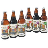 B-1　瓶ビール 御殿場高原ビールおもてなしセット【冷蔵】（500ml 6本）