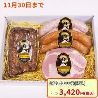 1120ʹȯۡ¢ȯSO-2Ž