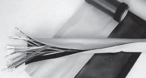 �ޥ��å����塼�֡�[TMT-50]��1��25M