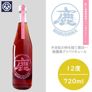【奄美】【リキュール酒】【松永酒造場】マルシカ グァバ茶 12° 720ｍｌの商品画像