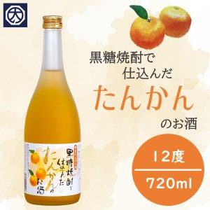 【奄美】【リキュール酒】奄美たんかん酒 12° 720ｍｌの商品画像