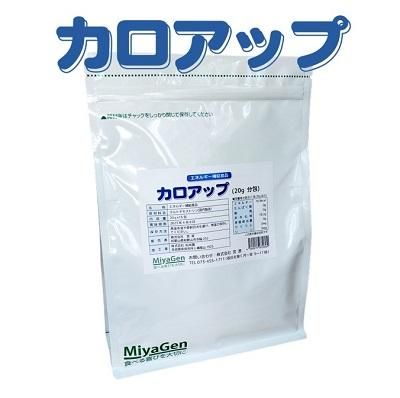 シモンズグランドセール カロアップ - 宮源 オンラインショップ 食事・調理介助