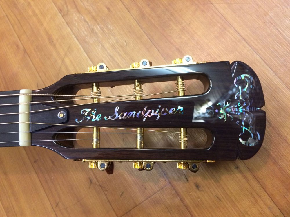 ARIA The Sandpiper SP-250/J Jacaranda ハカランダ 限定生産品 - Sunshine Guitar  （サンシャインギター）- 奈良市のギターレッスン、販売、買取、修理はおまかせください