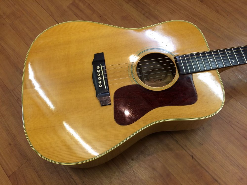 中古品 Nashville N-44D / 1970'S - Sunshine Guitar （サンシャインギター）-  奈良市のギターレッスン、販売、買取、修理はおまかせください