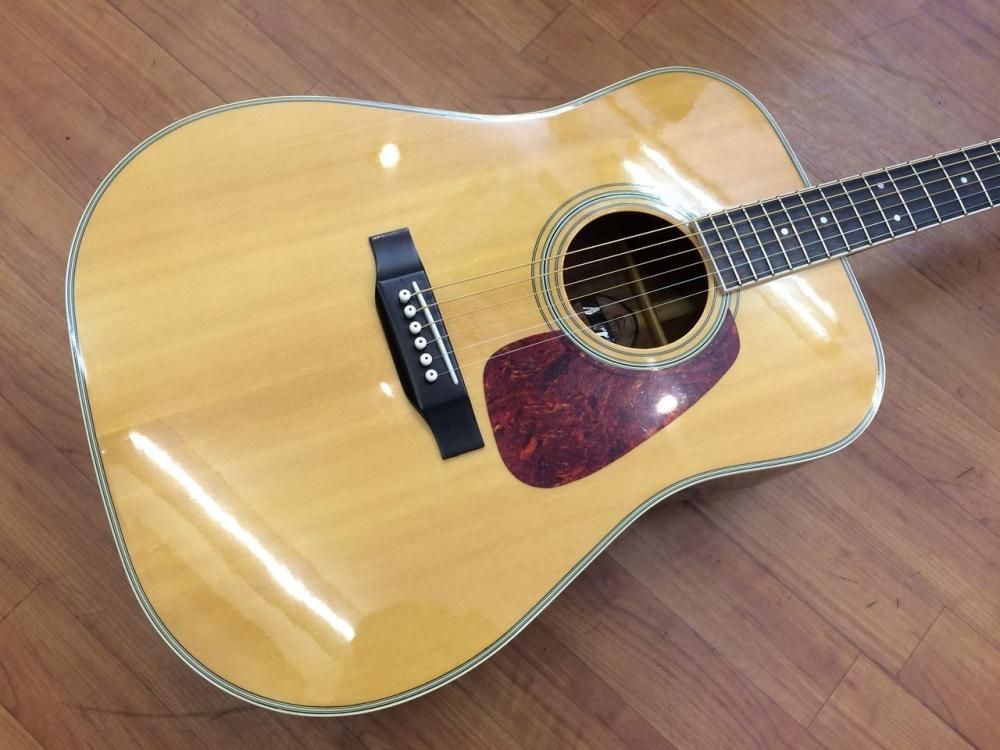 中古品 Morris MD507 - Sunshine Guitar （サンシャインギター）- 奈良 