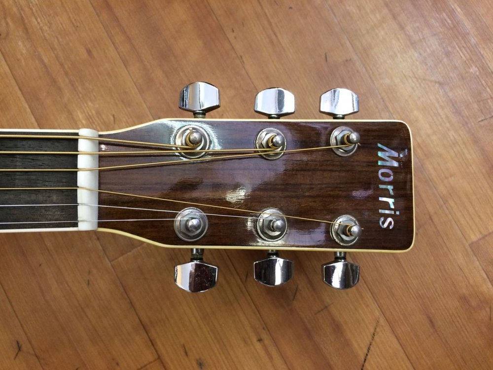 中古品 Morris MD507 - Sunshine Guitar （サンシャインギター）- 奈良