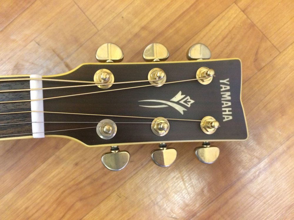 販促モール ヤマハアコースティックギター DW-10 | rpagrimensura.com.ar
