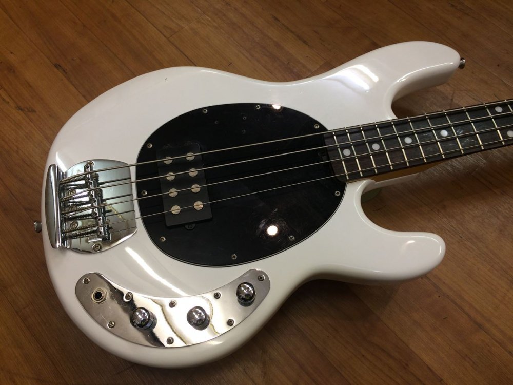 中古品 Sterling by MUSIC MAN S.U.B. Series Ray4 WH/R - Sunshine Guitar （サンシャイン ギター）- 奈良市のギターレッスン、販売、買取、修理はおまかせください