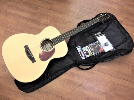 【アコギ】Aria-101 MTN ギター