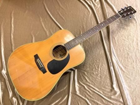 中古品 Morris W-20 飯田楽器製 - Sunshine Guitar （サンシャイン ...