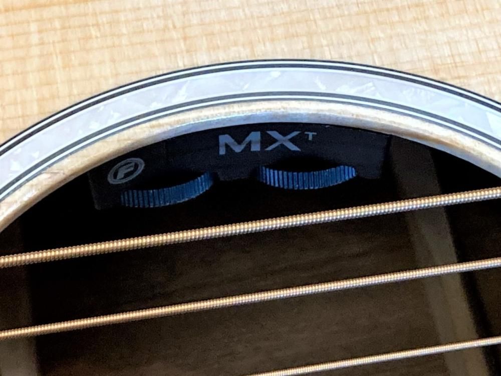 Martin D-10E-02 w/Fishman MX-T - Sunshine Guitar