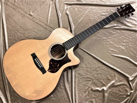 直販オンラインストア Martin GPC18E エレアコ ギター 生産終了品 