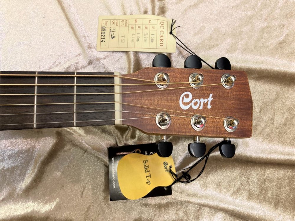 中古品 Cort EARTH mini スプルース単板トップ！ - Sunshine Guitar