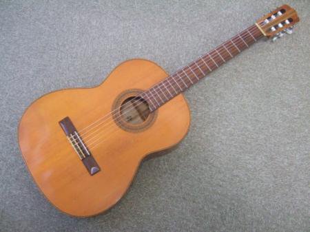 SUZUKIバイオリン製ガットギター！