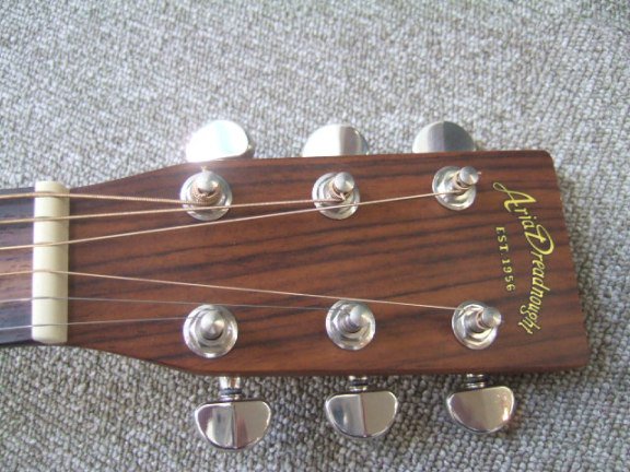 Aria Dreadnought Acoustic ギター RITTERケース付