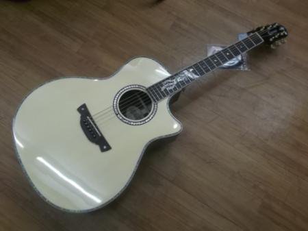 CRAFTER PK-ROSE PLUS - 奈良市のギターショップ “Sunshine Guitar