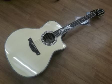 CRAFTER PK-ROSE PLUS - 奈良市のギターショップ “Sunshine Guitar 