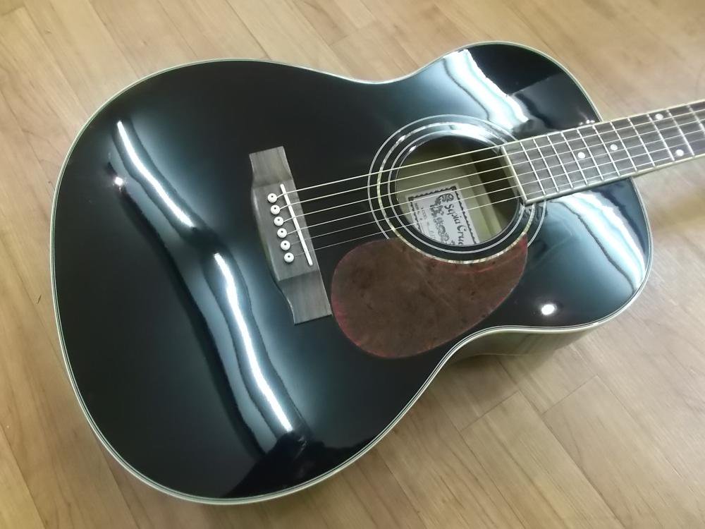 セピアクルーF-170 アコースティックギター - 弦楽器、ギター