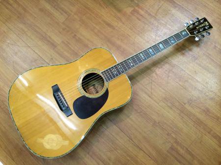 中古品 Morris W-40 日本製 - 奈良市のギターショップ “Sunshine