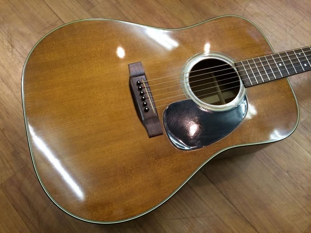 中古品 Martin D-19 1977年 - 奈良市のギターショップ “Sunshine