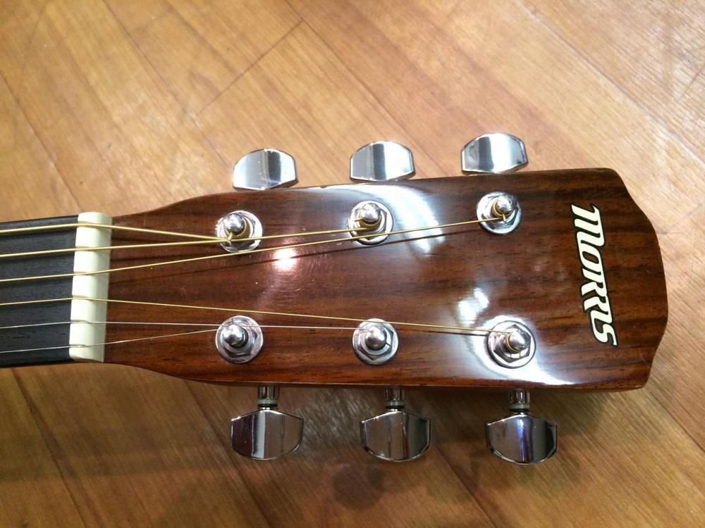 中古品 Morris F-01 TS - 奈良市のギターショップ “Sunshine Guitar 