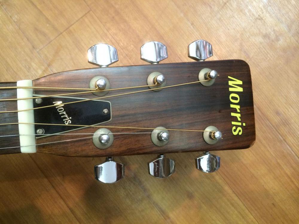 morris w-18 モーリス アコースティックギター - 楽器/器材
